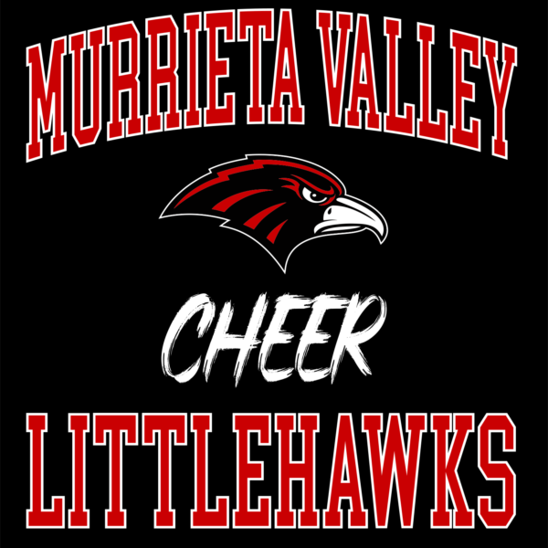 LITTLEHAWKS