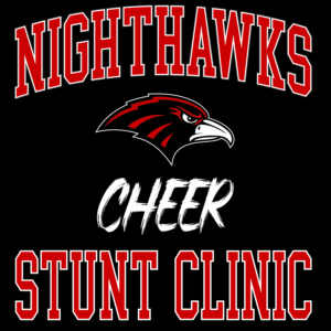 Stunt Clinic
