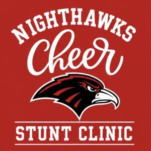 Stunt Clinic
